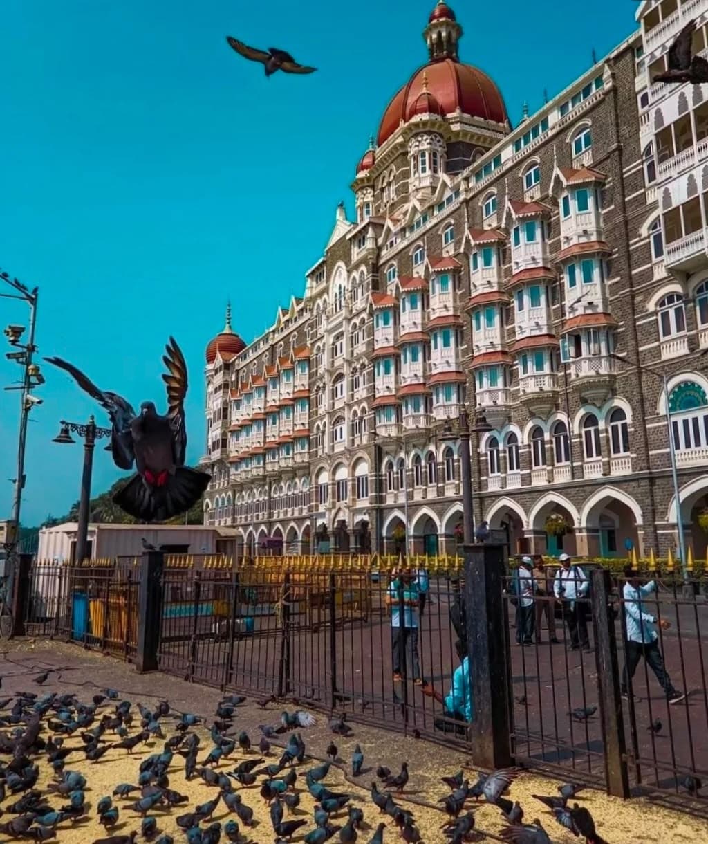 The Taj Mahal Palace Hotel with pigeons in flight