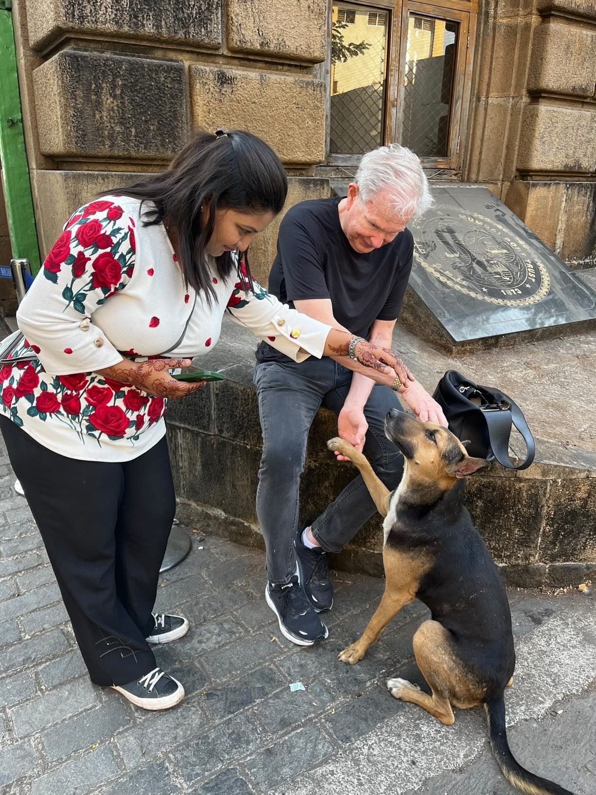 Guests meeting a friendly street dog