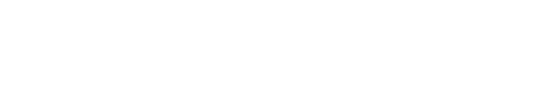 Bollywood Entertainment Tours